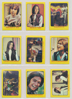 1972 AB&C The Partridge Family Set 55   #*