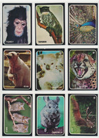 1975 Topps Zoo Who Set 40/18   #*