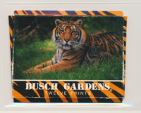 1991 Impact Busch Gardens Wild Animals Box Set (12)   #*