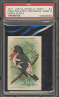 Useful Birds Of America #4 Rose-Breasted PSA 9 Mint  #*