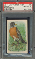 Useful Birds Of America #8 Robin  PSA 8 NM-MT  #*