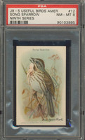 Useful Birds Of America #12 Song Sparrow PSA 8 NM-MT  #*