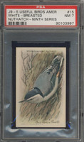 Useful Birds Of America #15 White-Breasted PSA 7 NM  #*