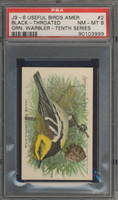 Useful Birds Of America #2 Black-Throated Grn. PSA 8 NM-MT  #*