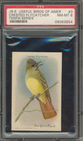 Useful Birds Of America #3 Crested Flycatcher PSA 8 NM-MT  #*