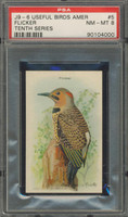 Useful Birds Of America #5 Flicker  PSA 8 NM-MT  #*