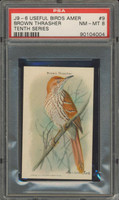 Useful Birds Of America #9 Brown Thrasher PSA 8 NM-MT  #*