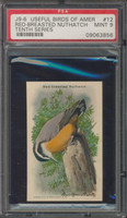 Useful Birds Of America #12 Red-Breasted Nuthatch PSA 9 Mint  #*