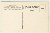 Buffalo Bill Post Card #4535 Portrait  #*