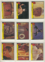 1979 Fleer The Gong Show Set 66/10   #*sku6890