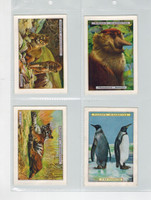 1924 John Player & Son  Natural History Set 12  #*