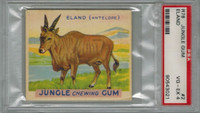 1934 JUNGLE GUM #2 ELAND PSA 4 VG-EX   #*