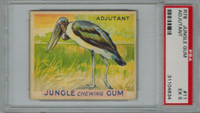 1934 JUNGLE GUM #11 ADJUTANT PSA 5 EX   #*