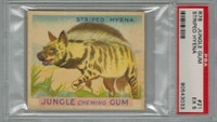 1934 JUNGLE GUM #21 STRIPED HYENA PSA 5 EX  #*