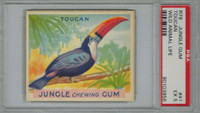 1934 JUNGLE GUM #41 TOUCAN PSA 5 EX  #*