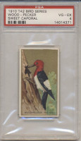 1910 T42 BIRD SERIES WOOD-PECKER PSA 4 VG-EX   #*