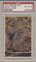 1957 PREMIERE BIRDS..BLACK-TAILED GNATCHER  PSA 8 NM-MT  #*