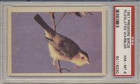 1957 PREMIERE BIRDS..PILEOLATED WARBLER  PSA 8 NM-MT  #*