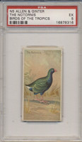 1889 N5 ALLEN & GINTER BIRDS OF THE TROPICS THE NOTORNIS PSA 5 EX  #*