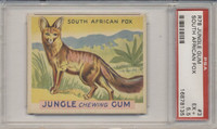 1934 JUNGLE GUM #3 SOUTH AFRICIAN FOX PSA 5.5 EX+  #*