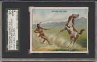 1910 T73 HASSAN CIGARETTES INDIANS LIFE IN THE '60s CAPTURING WILD HORSE SGC 80 EX-MT 6  #*
