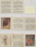 1920's-30's F216-? Jello Lot of 8 Booklets, with 5 Different Themes  #*