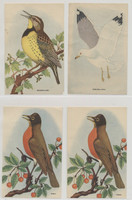 1930's D119 Birds Multiple Bakeries Lot 16  3 1/2 by 5 inches  #*sku2045