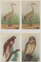 1930's D119 Birds Multiple Bakeries Lot 16  3 1/2 by 5 inches  #*sku2045