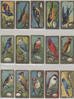 1910's E226 Lowney's Bird Series 23/25  #*