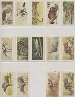 1950's Nabisco Nature Untamed Canadian Lot 14  #*