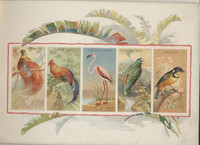 1888-1890 A-4 BIRDS OF THE TROPICS (CUT)  #*