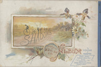 1888-1890 A-31 Shadows Album N87  #*