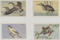 1947 Kellogg's Company F273-2a Birds Pictures Series A Set 24  #*