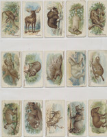 1910 E28 Philadelphia Caramel Co. Zoo Cards (Quadrupeds) Set 50  #*
