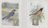 1900s H 684 AMERICAN SONG BIRDS SET (16)  #*