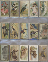 1887/88 Tobacco Cards Damaged Backs Lot 66 (27) Different "N" Numbers Plus 1 Unknown  #*