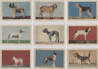 1950 Challenge of the Yukon Dog Breeds Set 35  #*sku33329
