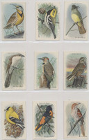 1938 J9-5 USEFUL BIRDS OF AMERICA SERIES 10 SET 15  Mid Grade Set  #*