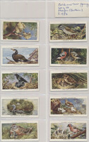 1937 John Player & Sons Birds & Their Young Set 50  #*