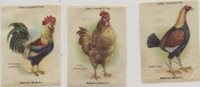 1910 S-5 BREEDS OF FOWLS LOT 3  #*