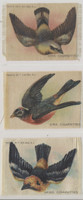 1910 S-7 BIRDS IN FLIGHT LOT OF (3) 3 BY 4 INCHES  #*