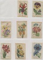 1910 S-49-1 FLOWERS LOT OF (8) 2 BY 3 1/4 INCHES   #*