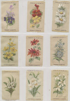 1910 S-48 FLOWERS LOT OF (17) 2 X 3 1/4 INCHES  #*