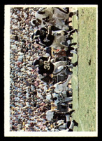 1966 Philadelphia #117 Bill Brown Vikings Play Ex-Mint Vikings Vikings ID:321711