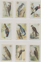 1915-1918  Useful Birds Of America 1st Series ( Large Baking Soda On Front)  Lot 23/30   #*