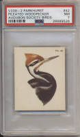 1954 V339-2 Parkhurst Audubon Society By Birds #42 Pileated Woodpecker PSA 7 NM  #*