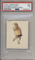 1954 V339-2 Parkhurst Audubon Society By Birds #90 Swainson's Hawk PSA 7  NM  #*