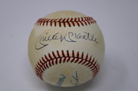 Mickey Mantle Ted Williams Yastrzemski Robinson Triple Crown Signed Baseball PSA/DNA ID: 328549