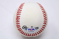 Steve Carlton / Jim Palmer / Phil Niekro Baseball Signed Auto PSA/DNA Authenticated