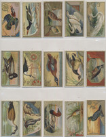 1889 Allen & Ginter  N13  Game Birds  Lot 40/50  #*